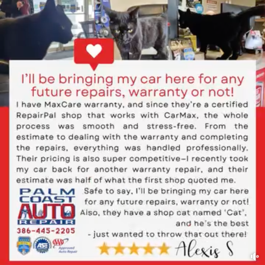 RepairPal Certified Shop, Palm Coast Auto Repair (Palm Coast, FL), highlights a customer review after a MaxCare warranty repair.